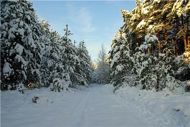 《战神》电视剧成人向：暴力、裸露与父子情，基于2018年《战神4》改编